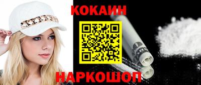 стаф Гатчина