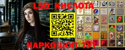 стаф Гатчина