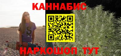 стаф Гатчина