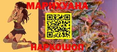 стаф Гатчина