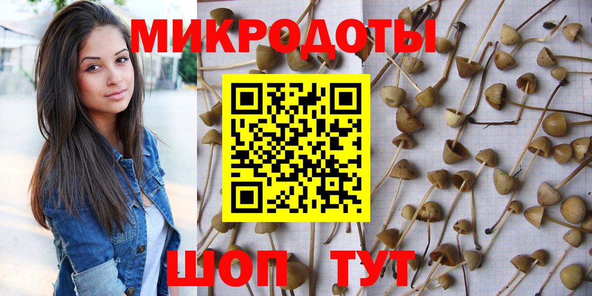 Отрадный  Галлюциногенные грибы прущие грибы  Вход с VPN 